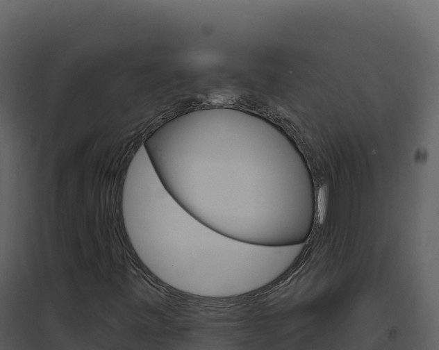 X0000094811443200711160953
