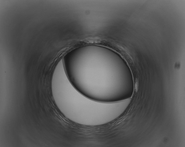 X0000094811444200711160953