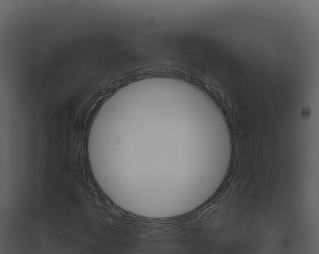 X0000094811445200711160953