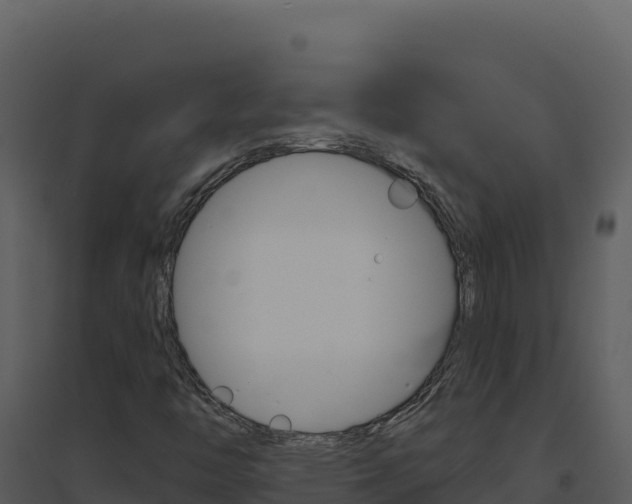 X0000094811446200711160953