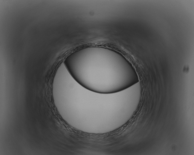 X0000094811447200711160953