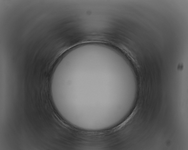 X0000094811449200711160953