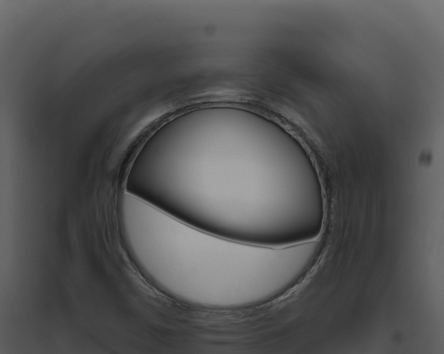 X0000094811450200711160952