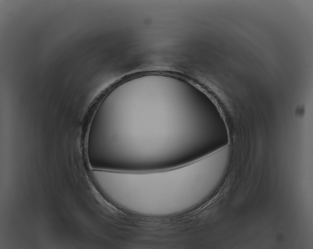 X0000094811452200711160952