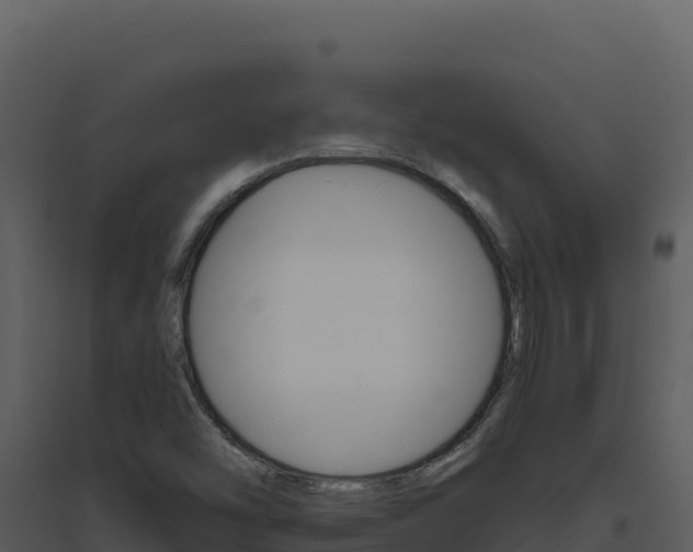 X0000094811454200711160952