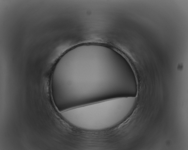 X0000094811455200711160952