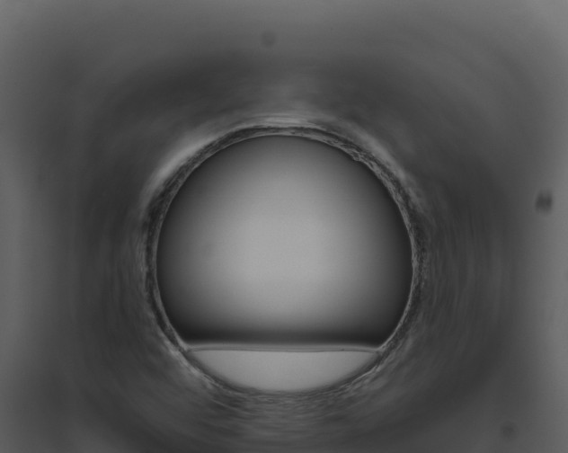 X0000094811456200711160952