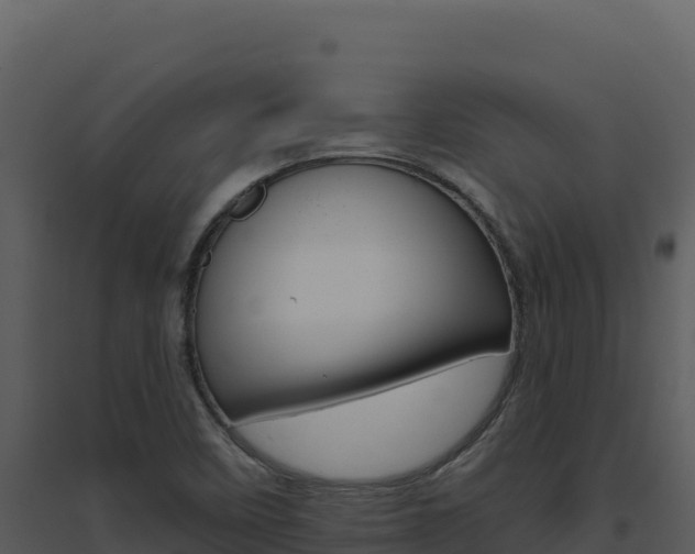 X0000094811458200711160952