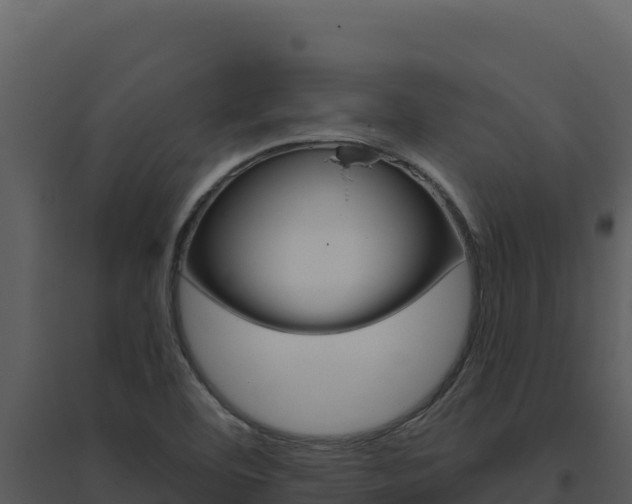 X0000094811460200711160952