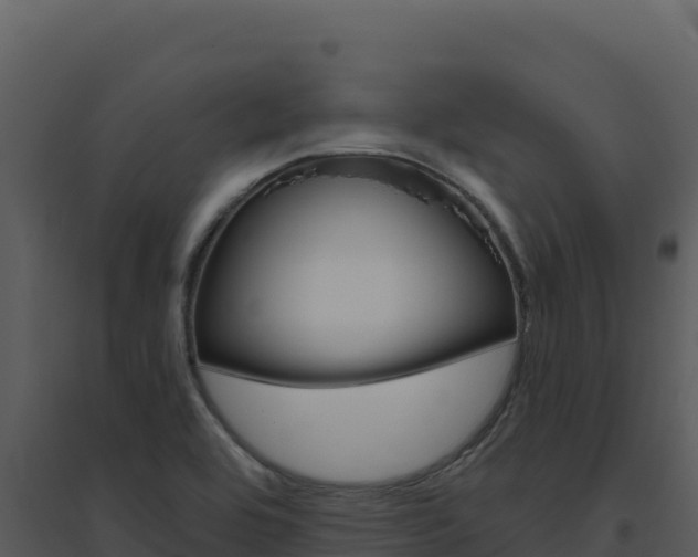 X0000094811464200711160952