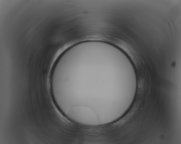 X0000094811466200711160952