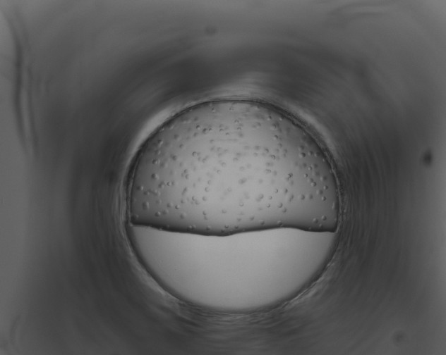 X0000094811467200711160952