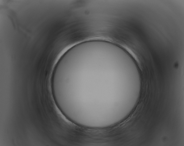 X0000094811468200711160952
