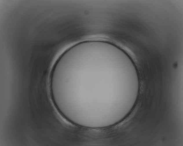 X0000094811470200711160952