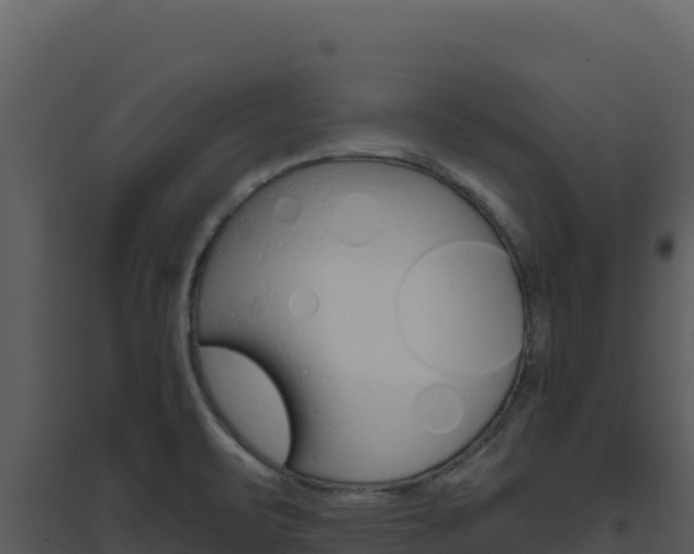 X0000094811471200711160952
