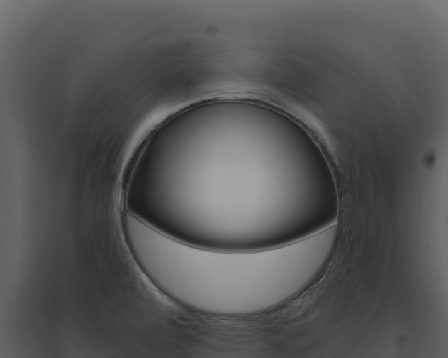 X0000094811472200711160952
