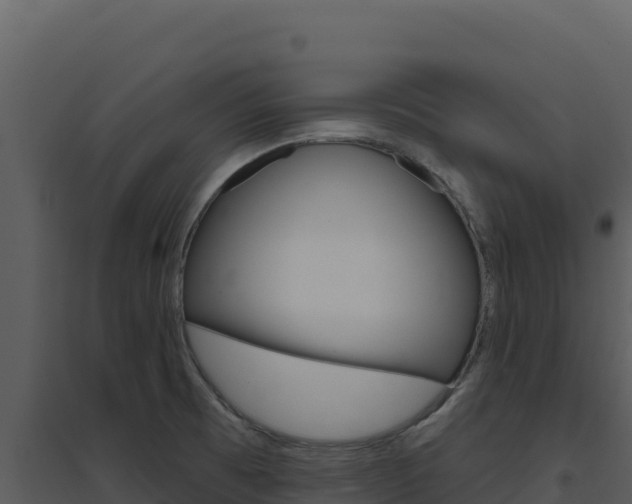 X0000094811473200711160952