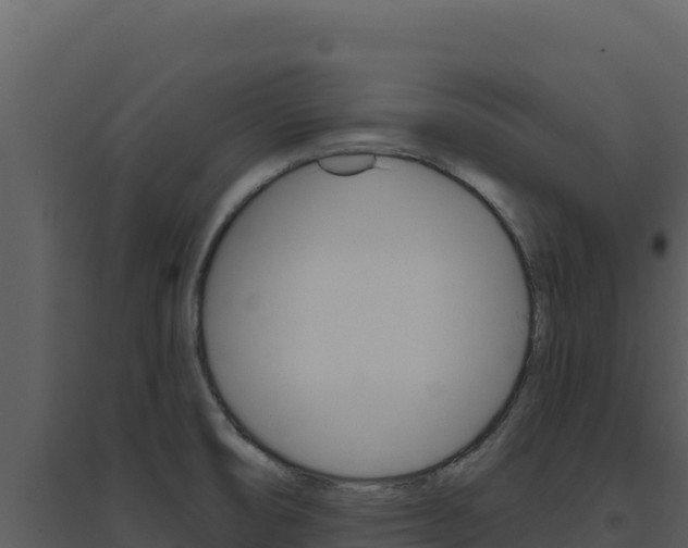 X0000094811474200711160952