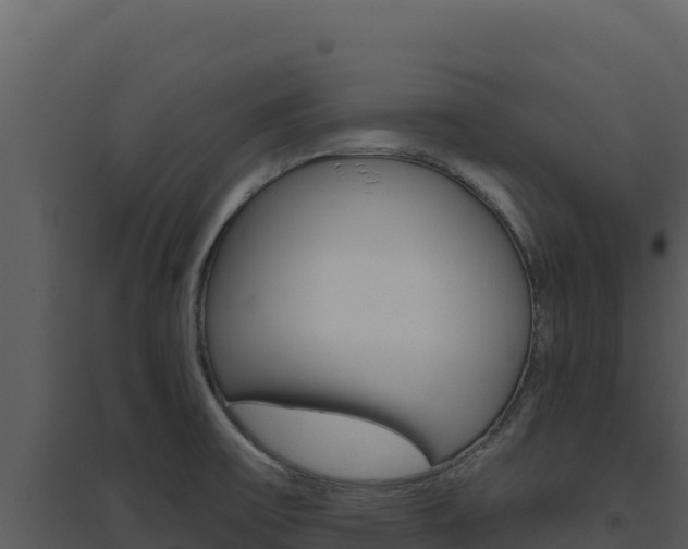 X0000094811475200711160952