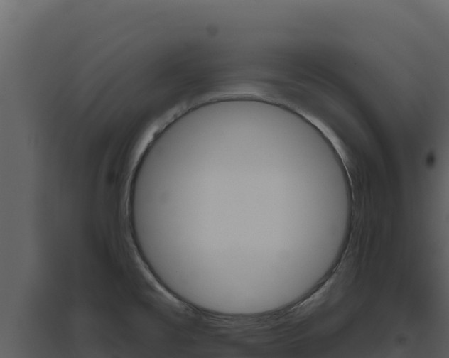 X0000094811477200711160952