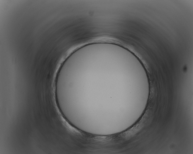 X0000094811478200711160952