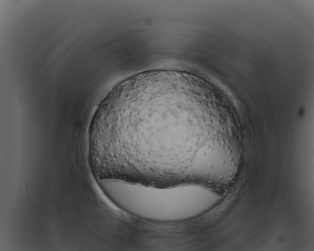 X0000094811479200711160952