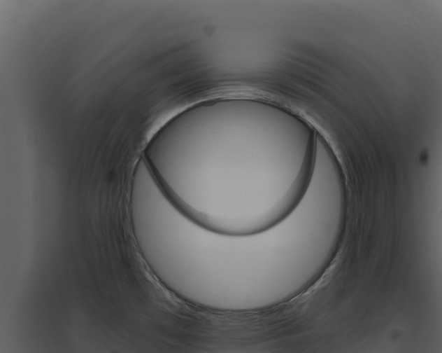 X0000094811481200711160952