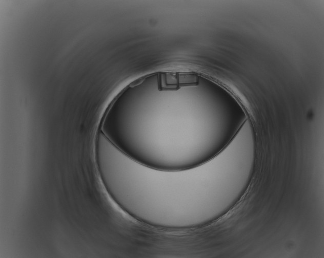 X0000094811484200711160952