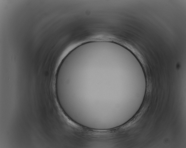 X0000094811486200711160952