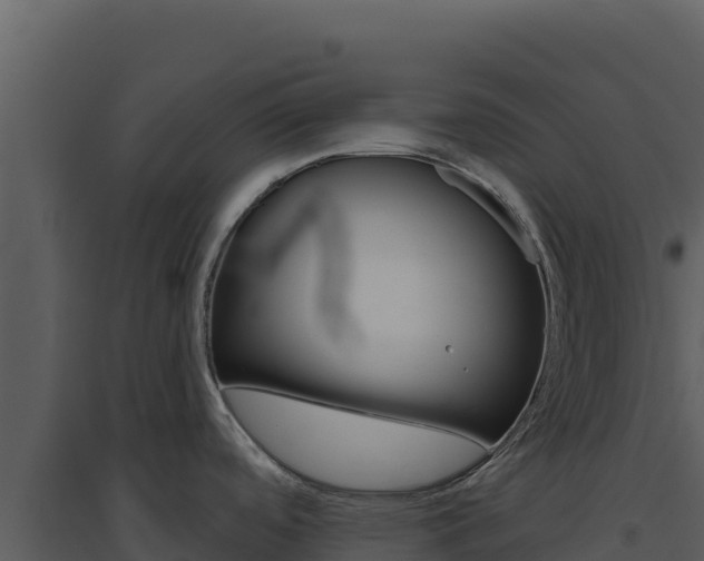 X0000094811488200711160952