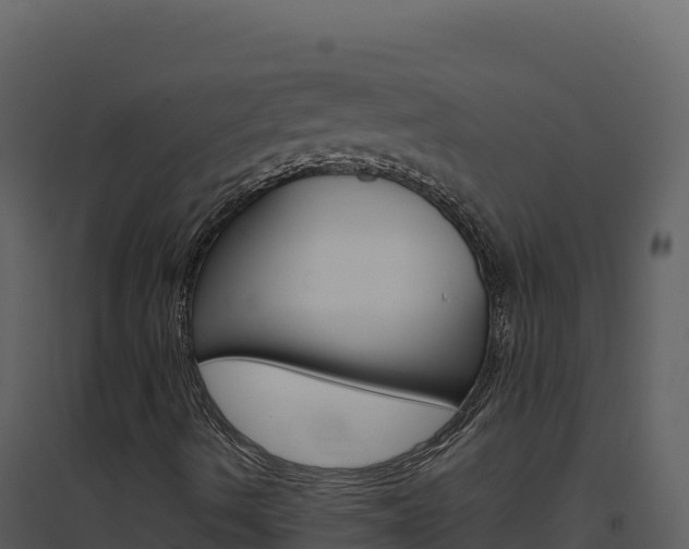 X0000094811490200711160951