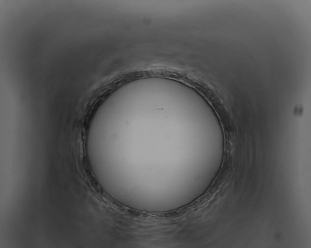X0000094811493200711160951