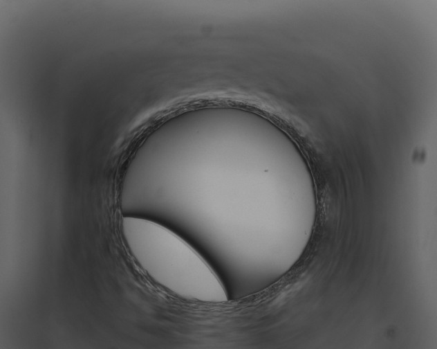 X0000094811494200711160951