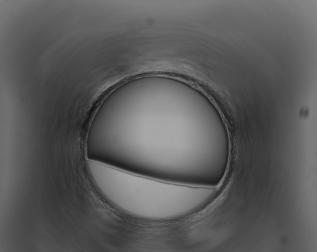 X0000094811497200711160951