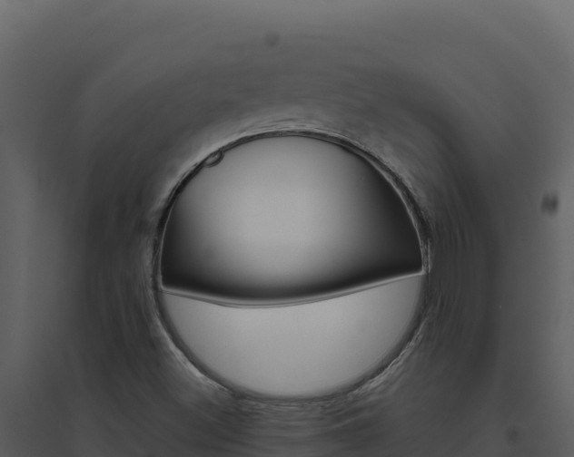 X0000094811500200711160951