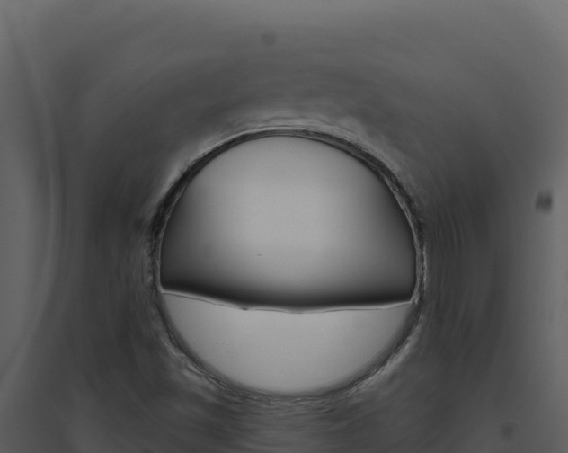 X0000094811501200711160951