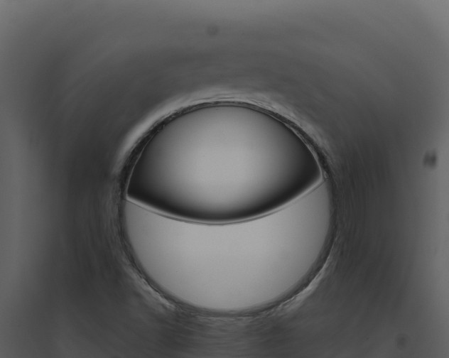 X0000094811502200711160951