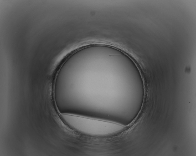 X0000094811503200711160951