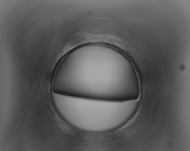 X0000094811505200711160952