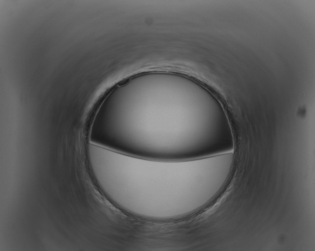 X0000094811506200711160952