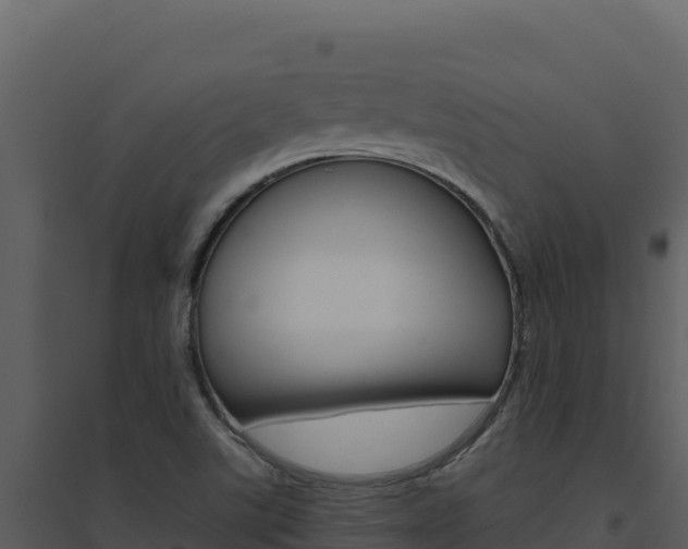 X0000094811507200711160952