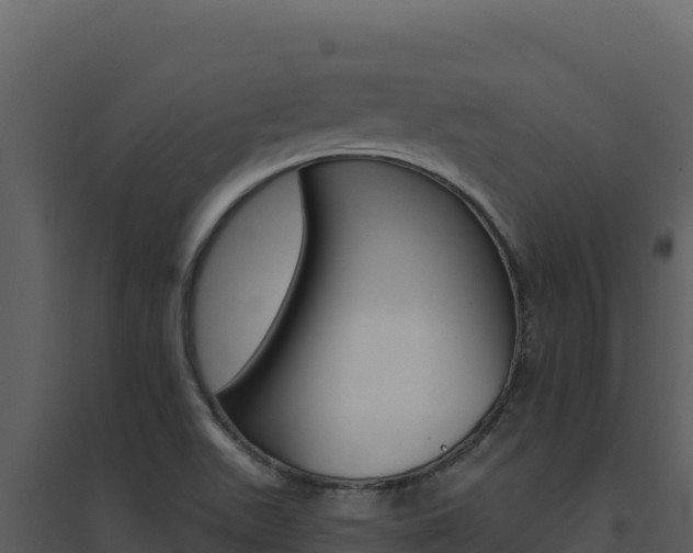X0000094811511200711160952