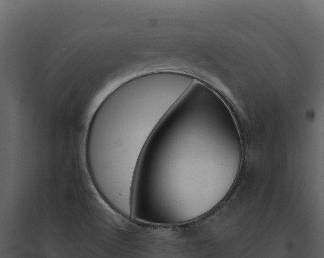 X0000094811512200711160952