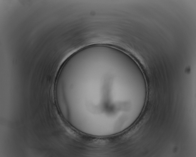 X0000094811513200711160952