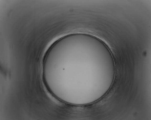 X0000094811515200711160952