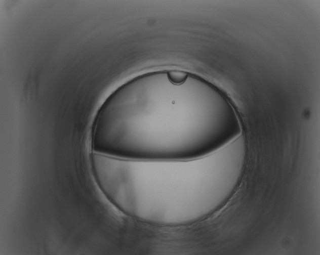 X0000094811516200711160952