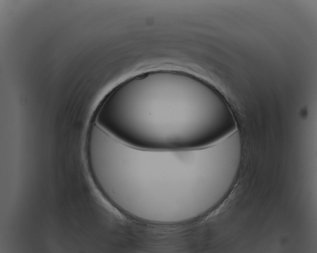 X0000094811518200711160952