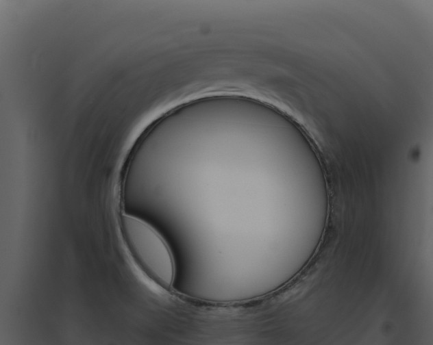 X0000094811519200711160952