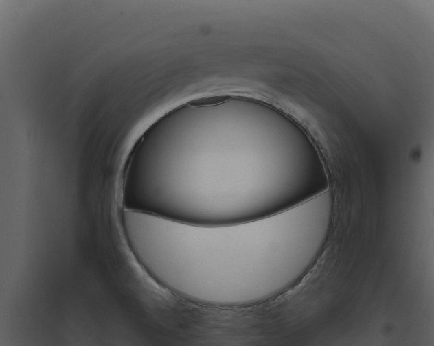 X0000094811520200711160952
