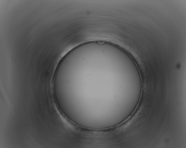 X0000094811521200711160952